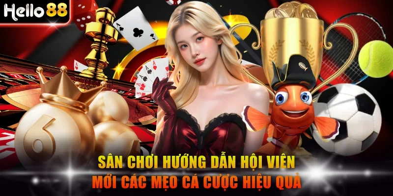 Sân chơi hướng dẫn hội viên mới các mẹo cá cược hiệu quả